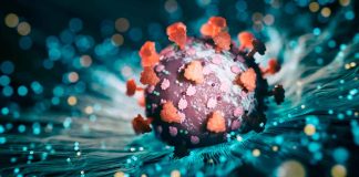 Avanza variante Frankenstein del COVID-19, México libre de casos detectados