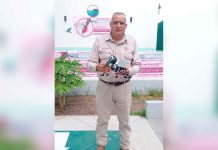 SSM te dice cómo identificar los síntomas del dengue para recibir atención oportuna