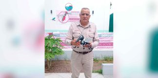 SSM te dice cómo identificar los síntomas del dengue para recibir atención oportuna