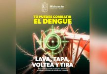 Sigue estas recomendaciones de la SSM para prevenir el dengue en tu hogar
