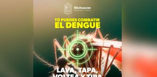 Sigue estas recomendaciones de la SSM para prevenir el dengue en tu hogar