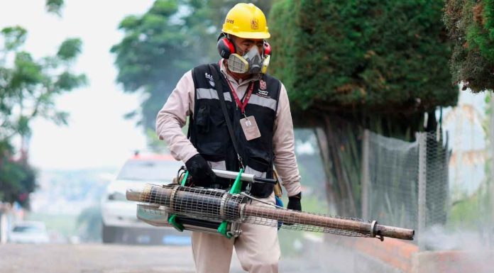 SSM se suma a jornada nacional contra el dengue