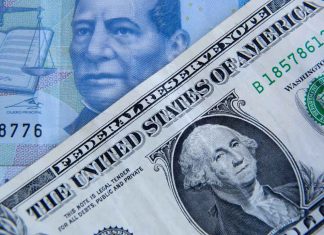 Precio del dólar así se encuentra el tipo de cambio del peso mexicano