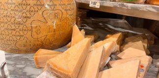 SSM emite recomendaciones para prevenir brucelosis al comprar quesos frescos