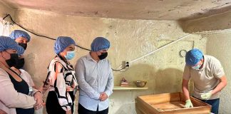 SSM protege a la población de la brucelosis; capacita a productores de queso