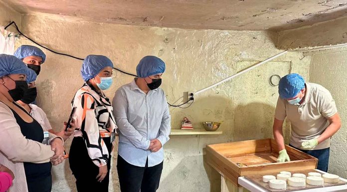 SSM protege a la población de la brucelosis; capacita a productores de queso