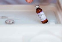 ¡Regreso a clases seguro! Completa esquemas de vacunación de niños y niñas: SSM