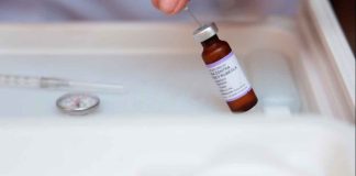 ¡Regreso a clases seguro! Completa esquemas de vacunación de niños y niñas: SSM