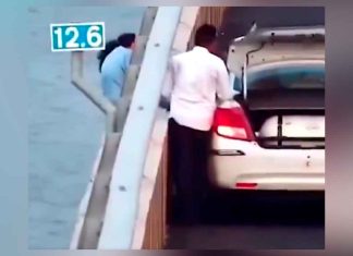 # VIDEO Un taxista salvó a una mujer que intentaba lanzarse desde un puente