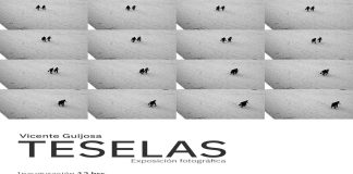 SeCultura Morelia invita a la exposición fotográfica ‘Teselas’ de Vicente Guijosa, en la calzada Fray Antonio de San Miguel hasta el 15 de octubre.
