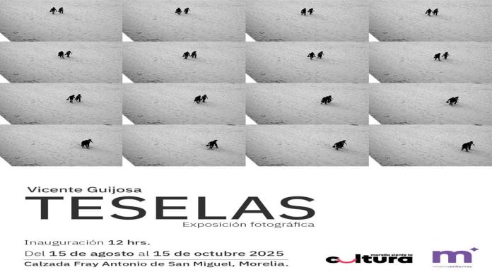 SeCultura Morelia invita a la exposición fotográfica ‘Teselas’ de Vicente Guijosa, en la calzada Fray Antonio de San Miguel hasta el 15 de octubre.