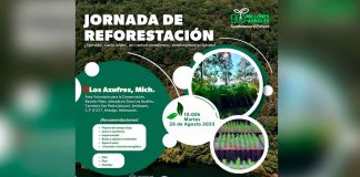 Anuncia SECMA jornada de reforestación en Los Azufres