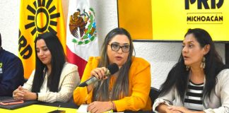 Reforma electoral debe incluir voto electrónico para fomentar participación juvenil: Verónica García