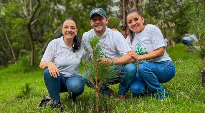 “Un Árbol por la Vida”: Jiquilpan reafirma su compromiso con el medio ambiente
