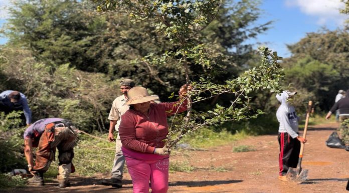 Gobierno de Morelia fortalece la conexión rural con acciones integrales en Loma Caliente