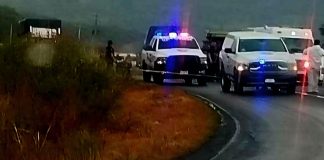 Hallan cadáver en descomposición a un costado de la Siglo XXI, en Arteaga