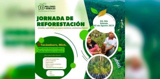 Gobierno del Estado invita a Jornada de Reforestación en Tacámbaro
