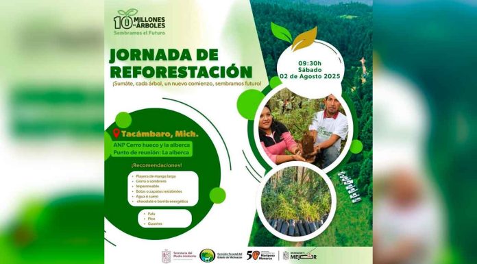 Gobierno del Estado invita a Jornada de Reforestación en Tacámbaro