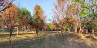 Rehabilitación del Arboretum Morelia sí se realizará este año, proyecto será presentado en el informe de gobierno: Secretaría de Servicios Públicas