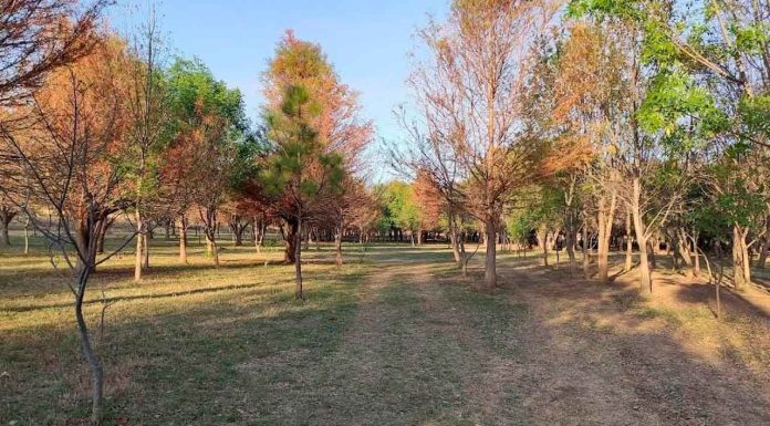 Rehabilitación del Arboretum Morelia sí se realizará este año, proyecto será presentado en el informe de gobierno: Secretaría de Servicios Públicas