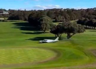 #VIDEO || Avioneta se estrella en campo de golf en Sídney: piloto aprendiz e instructor sobreviven