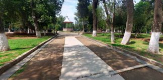 Protocolo Punto Naranja permite localizar y resguardar a joven en el Bosque Cuauhtémoc
