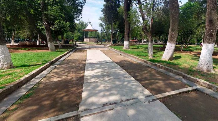 Protocolo Punto Naranja permite localizar y resguardar a joven en el Bosque Cuauhtémoc