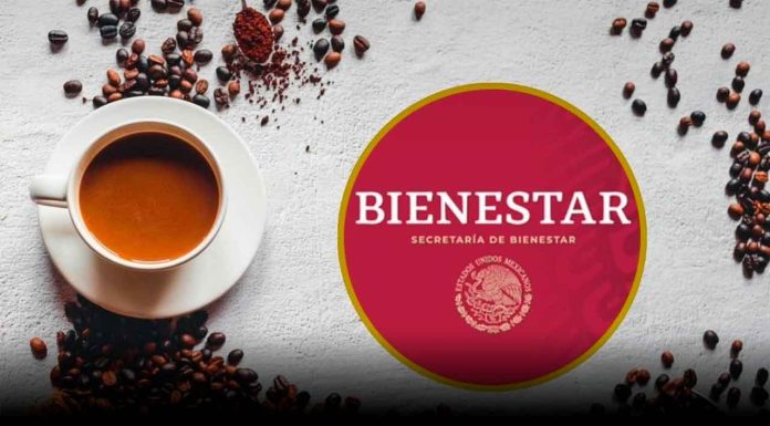 Lanzan Café 100% mexicano, CaféBienestar ya está a la venta
