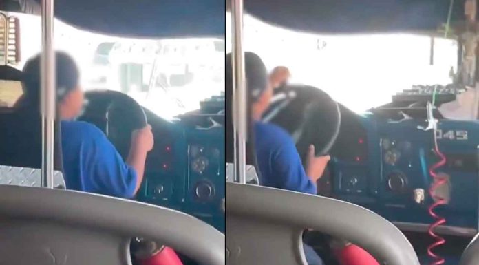 #VIDEO | #MéxicoMágico: ¡Niño al volante! Menor fue captado manejando un camión de pasajeros