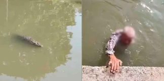 #México: Rescatan a hombre de la tercera edad de ataque de cocodrilo en el Canal de la Cortadura
