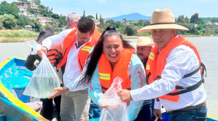 #GALERIA Gobierno de Michoacán siembra 15 mil crías de pescado blanco en el lago de Pátzcuaro