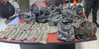 En operativo interinstitucional en la región de Tierra Caliente, detienen a tres personas en posesión de narcótico