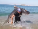 #VIDEO | Hombre captura con sus propias manos a un tiburón en Aquila