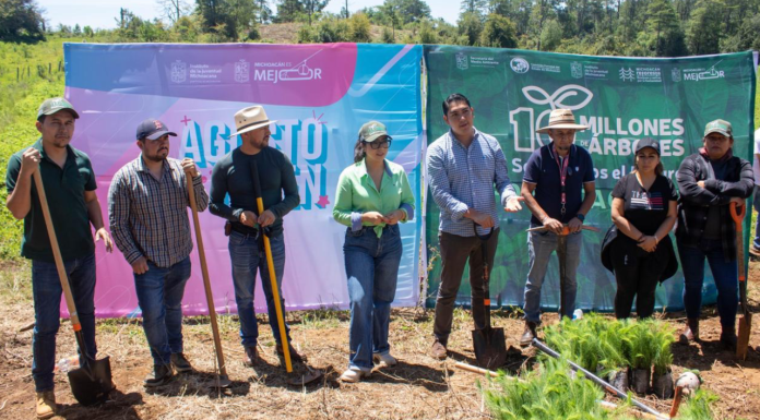 Jóvenes plantan más de 50 mil árboles en reforestación simultánea en 16 municipios