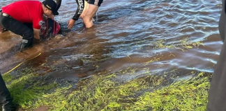 Tragedia durante paseo en Hidalgo: Padre e hija mueren ahogados