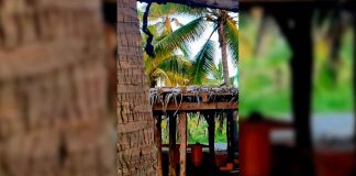 Hallan cuerpo sin vida en enramada de playa en LC