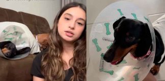 #VIDEO | Lleva a su perrita a esterilizar y veterinaria se la entrega con quemaduras