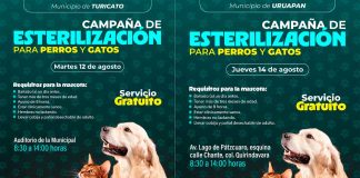 ¡Esterilización gratuita en agosto! SSM lleva jornadas a siete municipios