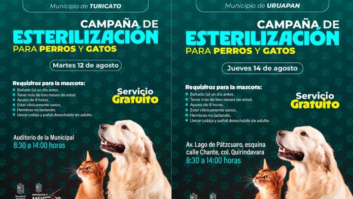 esterilización
