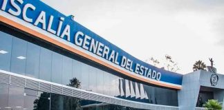 Sanas y salvas, localiza FGE a mujer y menor de edad reportadas como desaparecidas