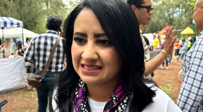 Sedum en espera de que Cabildo de Morelia apruebe construcción de 22 torres de competencia municipal