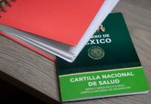 Por un regreso a clases sin riesgos, sigue estas recomendaciones de la SSM