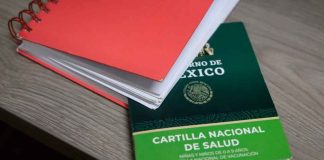 Por un regreso a clases sin riesgos, sigue estas recomendaciones de la SSM