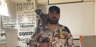 Asesinan a Camilo Ochoa, “El Alucín”, influencer ligado al crimen organizado, en Morelos