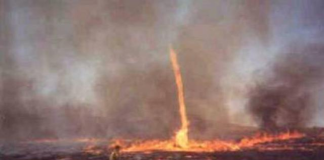 #VIDEO || Tornado de fuego sorprende a Portugal en plena ola de calor