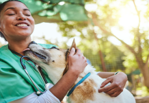 Hoy se celebra el Día del Veterinario: homenaje a quienes cuidan a nuestros animales
