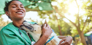 Hoy se celebra el Día del Veterinario: homenaje a quienes cuidan a nuestros animales