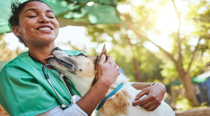 Hoy se celebra el Día del Veterinario: homenaje a quienes cuidan a nuestros animales
