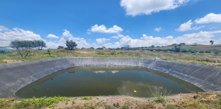 Por delitos contra el ambiente, FGE asegura dos predios con plantaciones de aguacate en michoacán