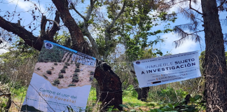 Cumplimenta FGE orden de cateo en predio relacionado con delitos contra el ambiente